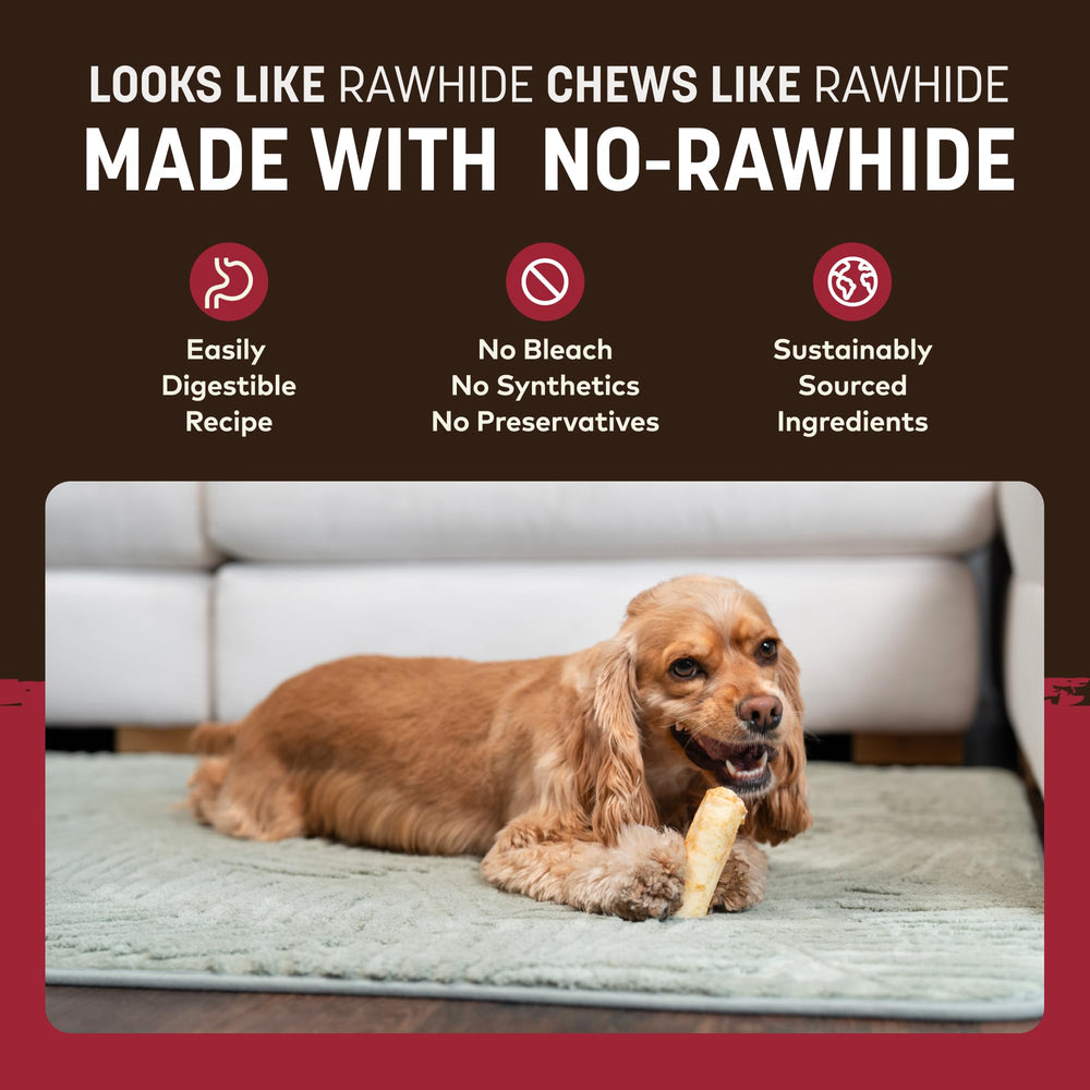 Small dog enjoying Earth Animal No Hide Chews beef roll after play.