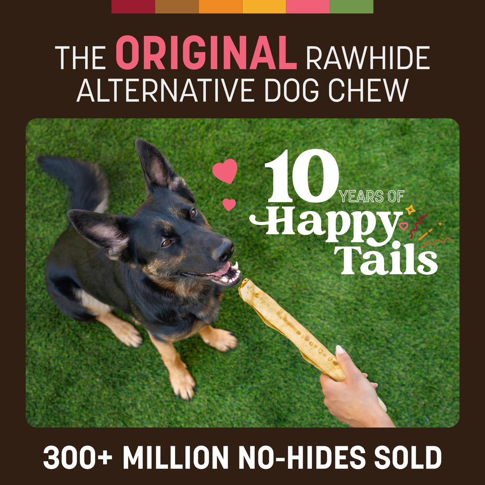 Earth Animal No Hide Chews Salmon large rolls packaging highlights USA-made and pure ingredients.