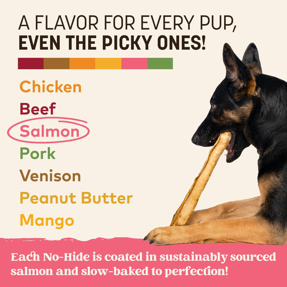 2-count package of Earth Animal No Hide Chews Salmon on display for large dogs.