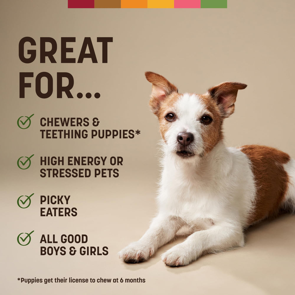 Earth Animal No Hide Chews rolls, chew time for active small dogs.