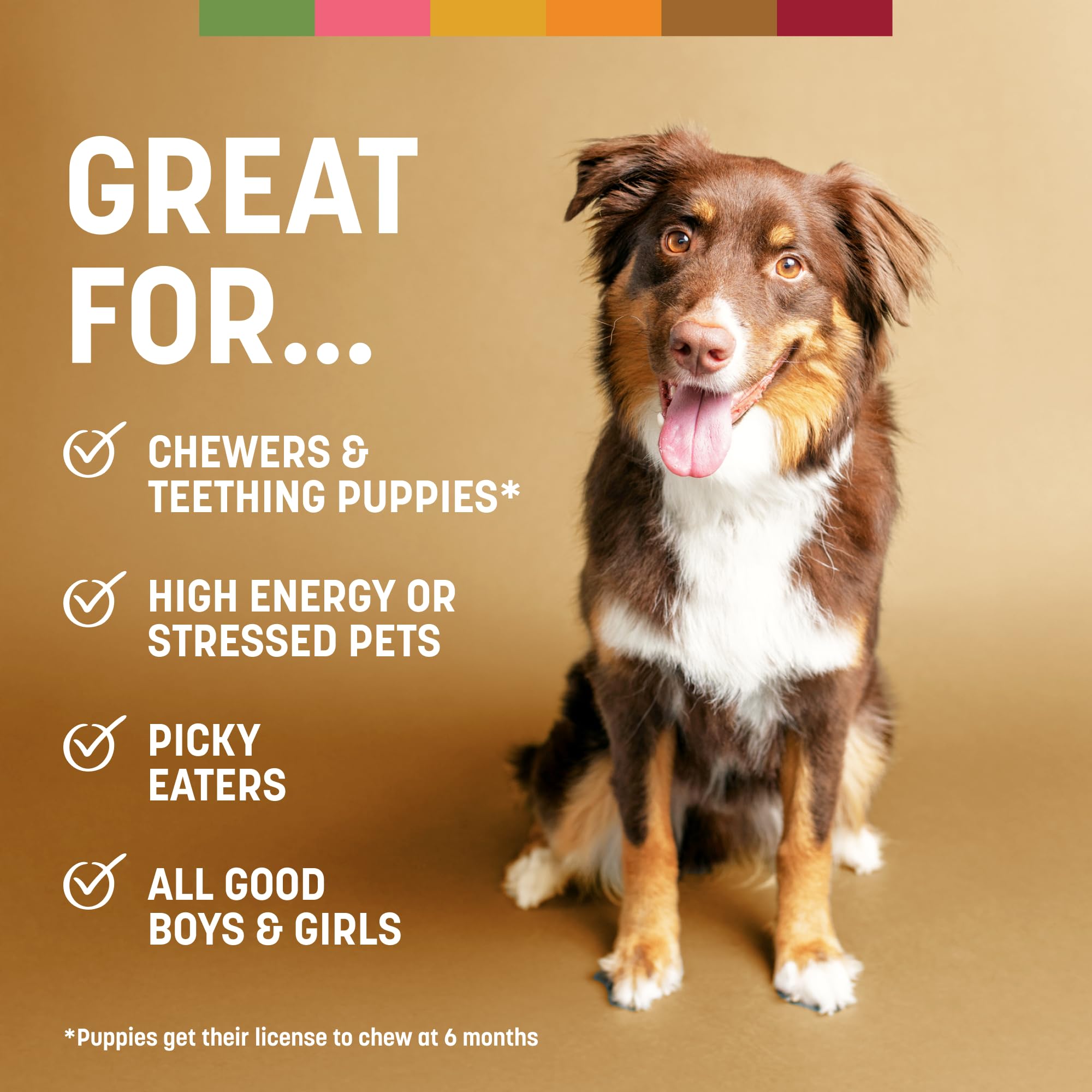 Earth Animal No Hide US-made seal reinforces pet-safe, responsible sourcing.