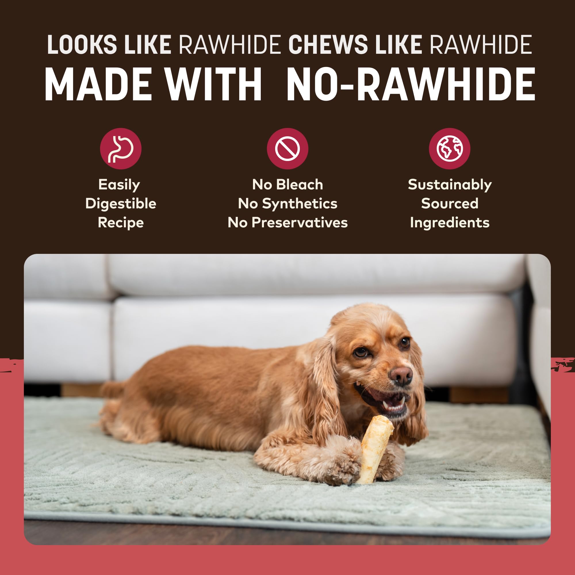 Earth Animal No-Hide Rolls small dog enjoying chew demonstrates chew time.
