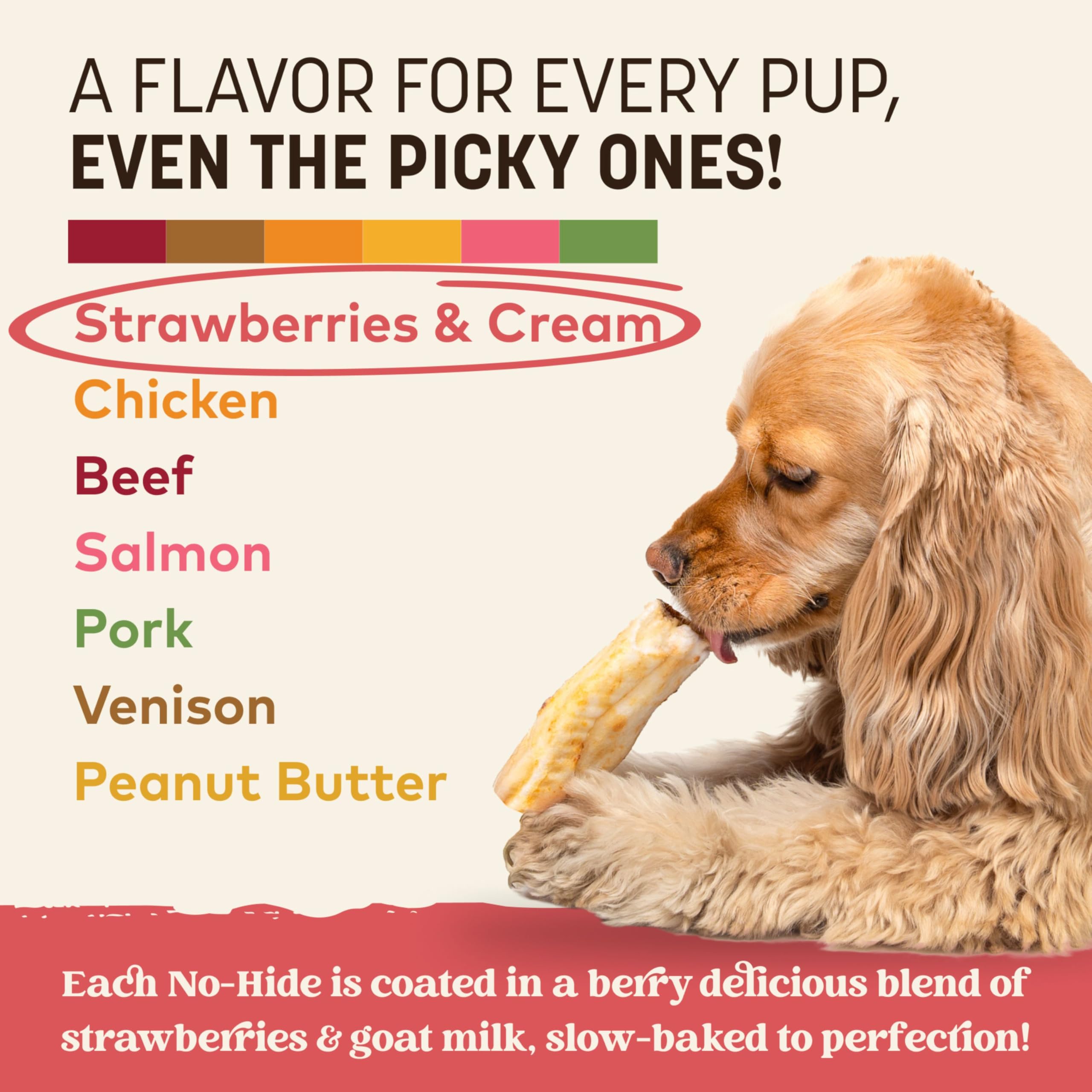 Dog enjoying a long-lasting chew with Earth Animal No-Hide Rolls.
