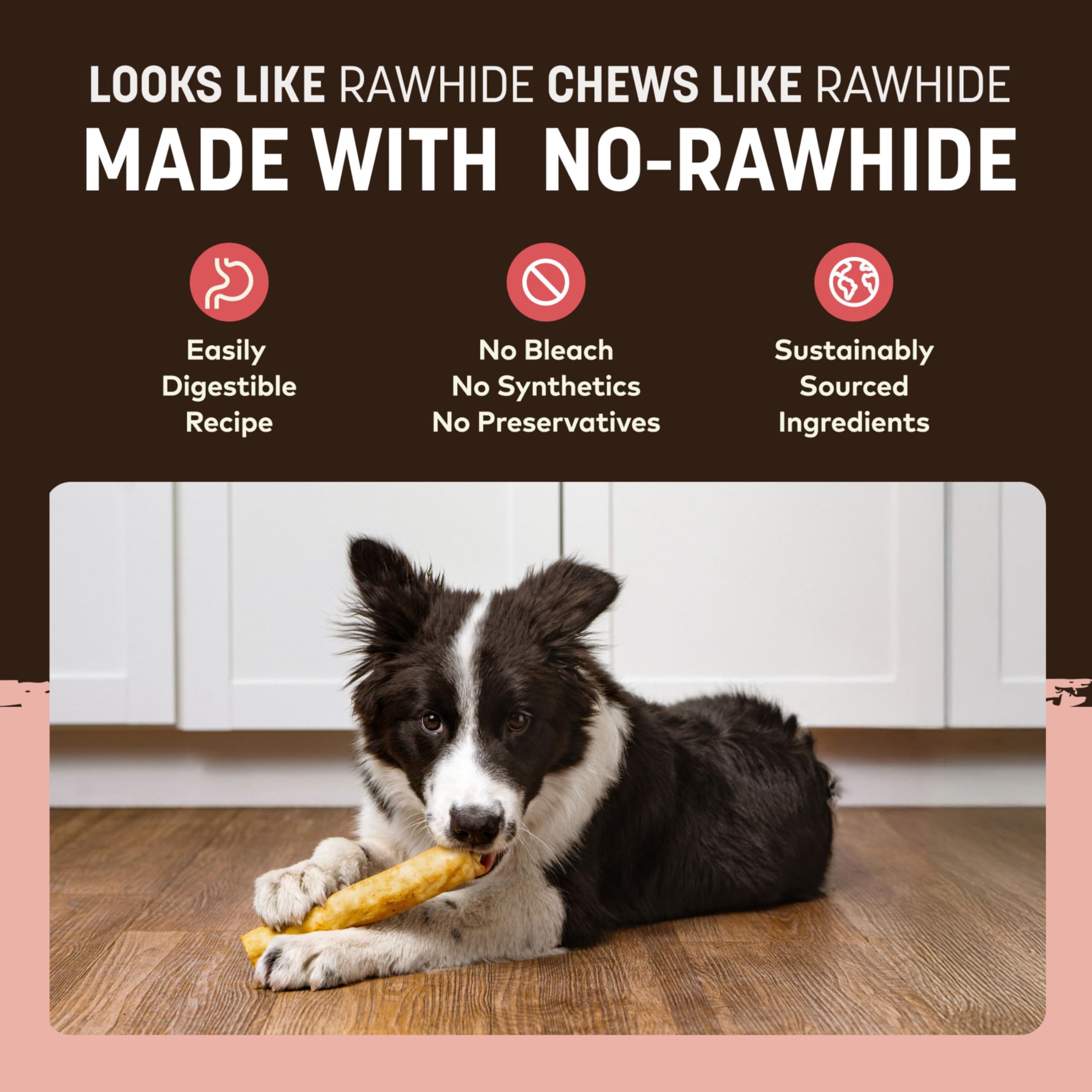Dog chewing Earth Animal No-Hide Rolls Strawberries & Cream under supervision