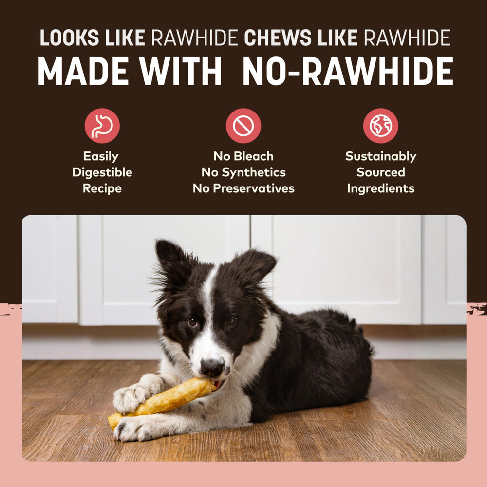Dog chewing Earth Animal No-Hide Rolls Strawberries & Cream under supervision