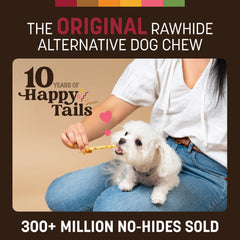Earth Animal No Hide Stix baked surface close-up, highlighting a safe, digestible chew.