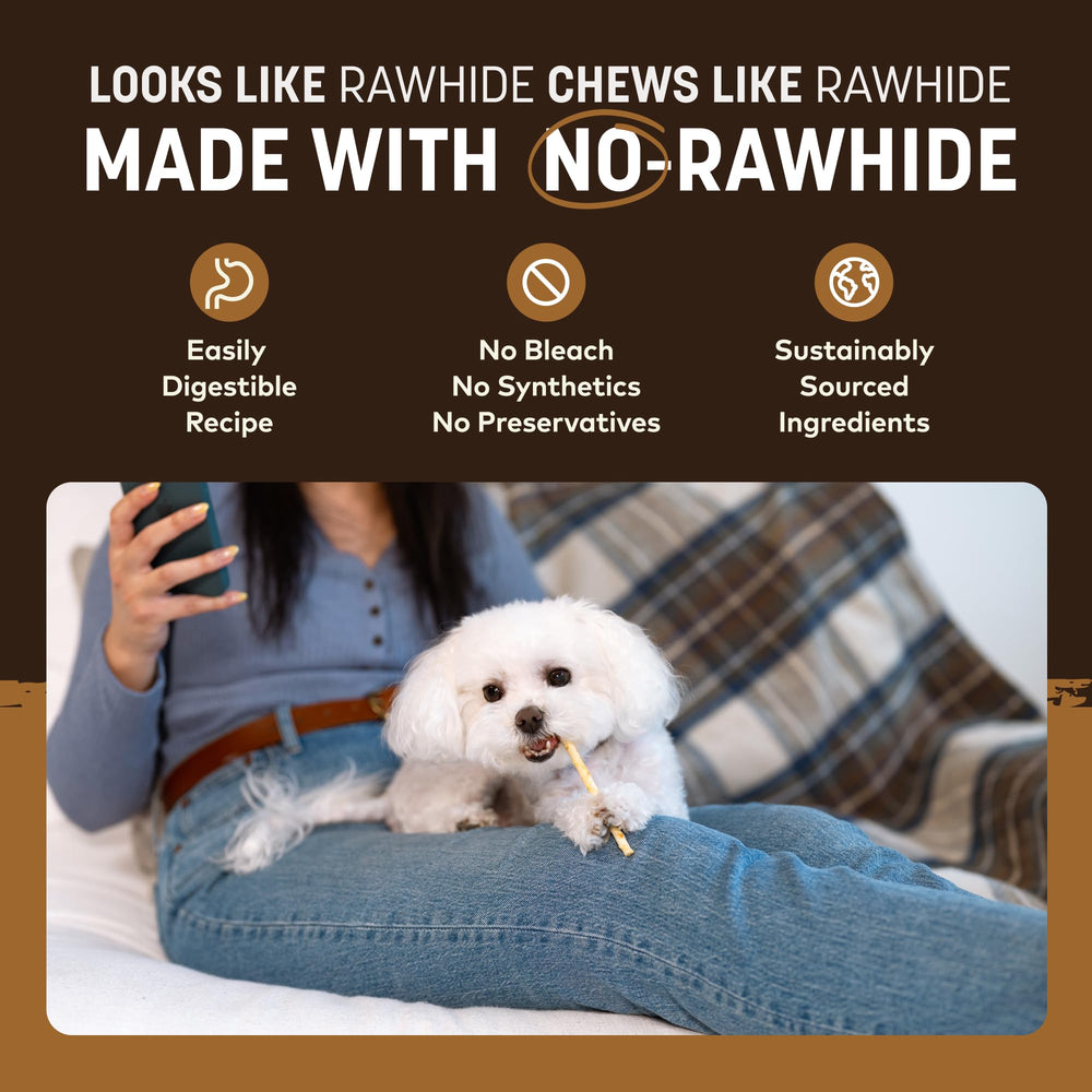 Earth Animal No-Hide Stix supports safe chewing for tiny pets.