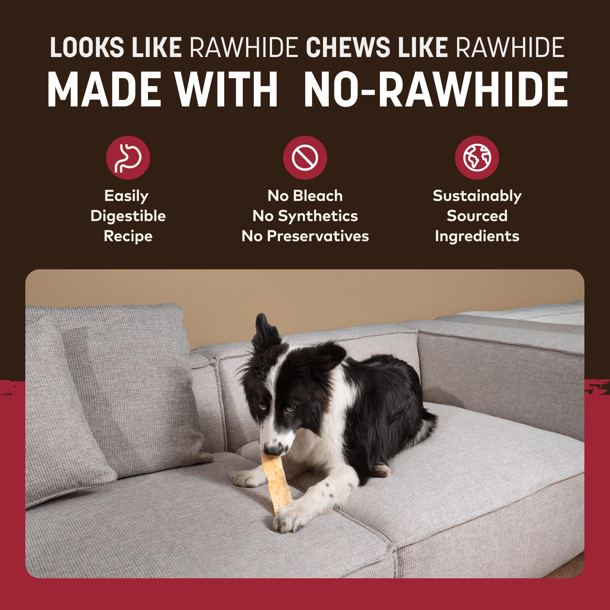 Earth Animal No-Hide Strips packaging highlights USA-made production for dogs.