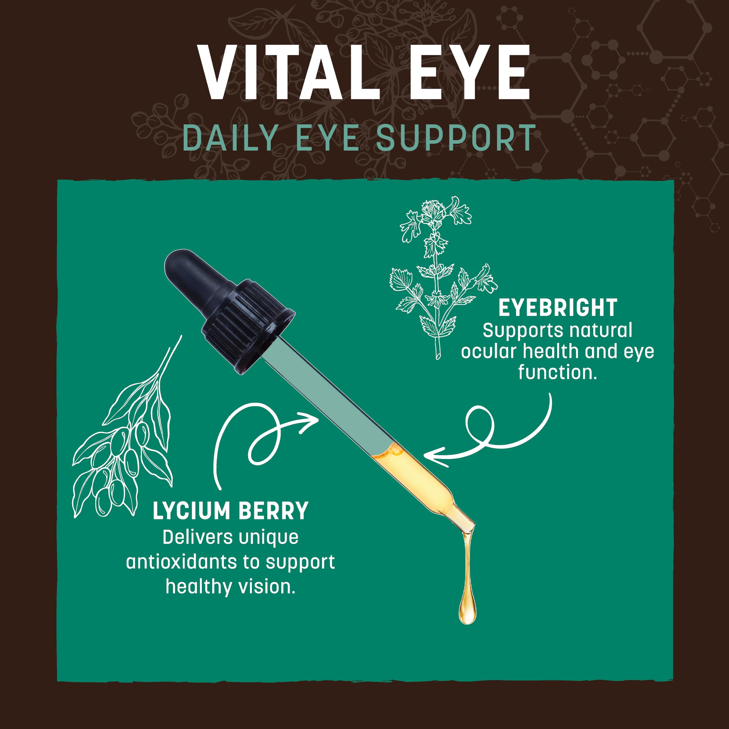 Earth Animal Vital Eye dropper application enables easy dosing for cats and dogs.