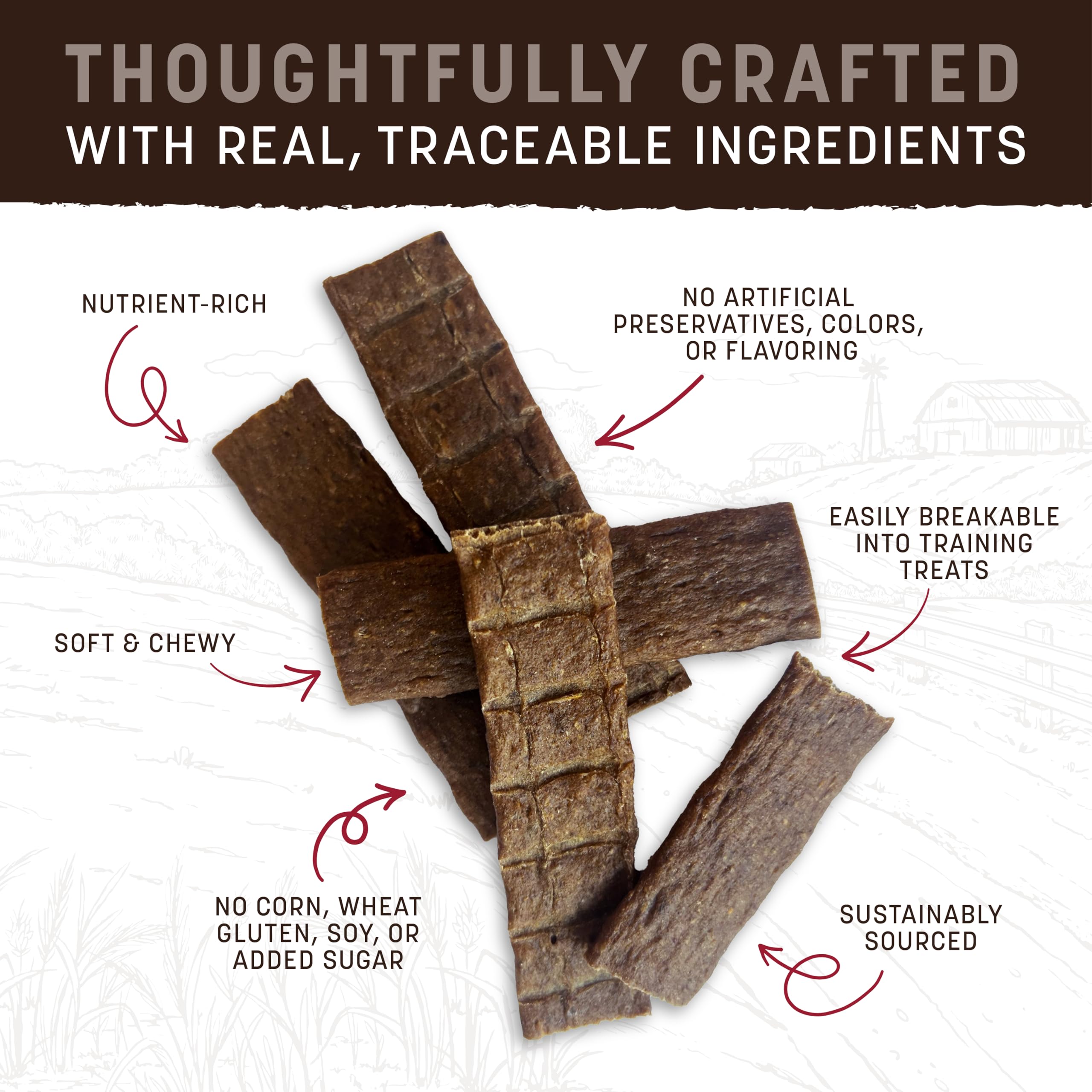 Earth Animal Wisdom Air Dried Jerky beef liver strip, protein-rich bite for active dogs.