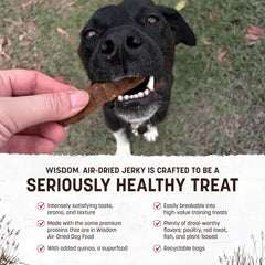 Earth Animal Wisdom Air Dried Jerky beef strip, savory dog snack for training.