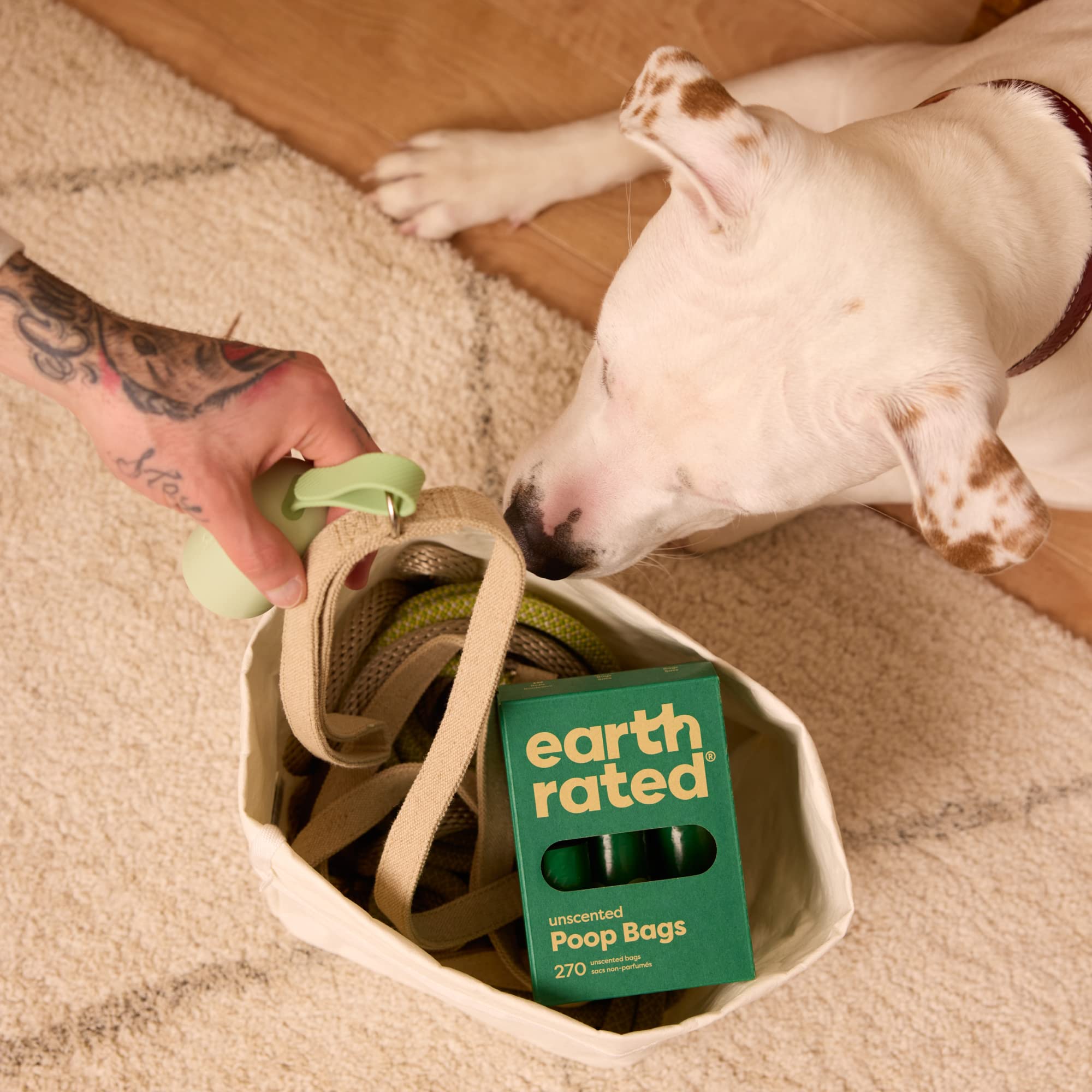 Earth Rated is a B Corp certified brand prioritizing sustainability.