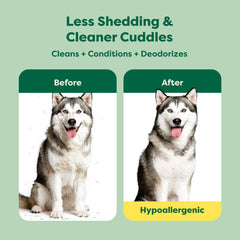 Earth Rated deshedding shampoo lather closeup showing foamy cleansing action