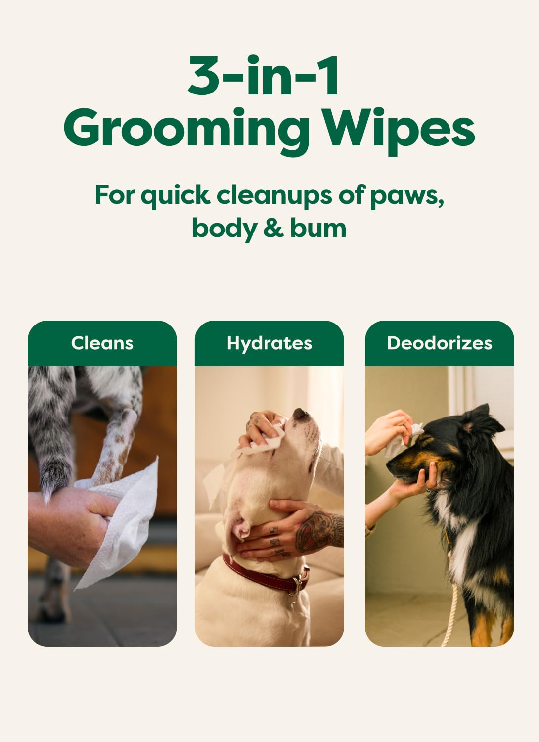 Earth Rated dog wipes lavender scent closeup highlighting fresh aroma.