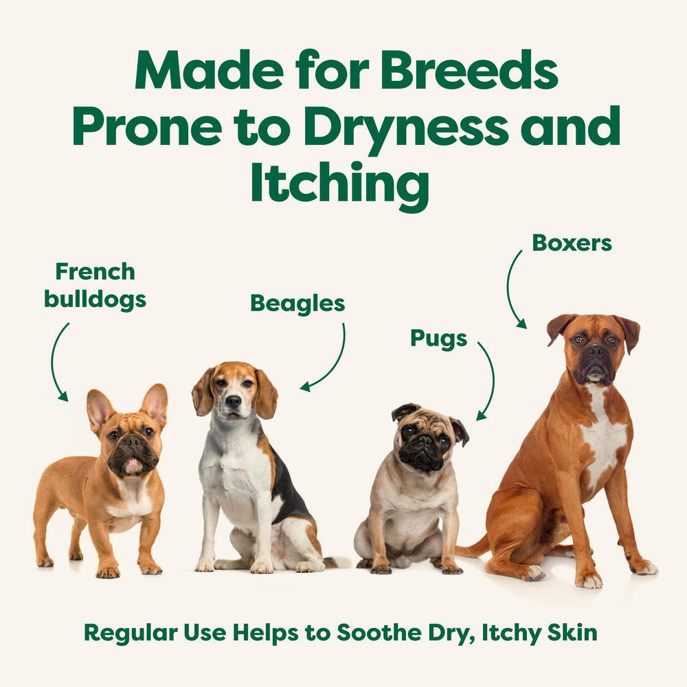 Earth Rated hypoallergenic 3-in-1 shampoo puppy-safe formula for young dogs