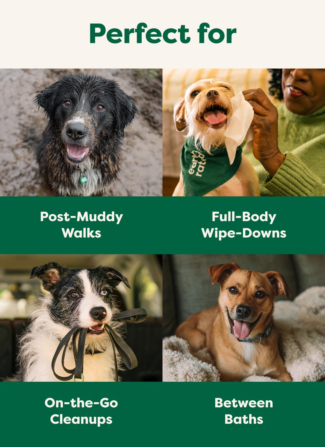 Earth Rated Pet Wipes deodorize with White Tea Basil scent
