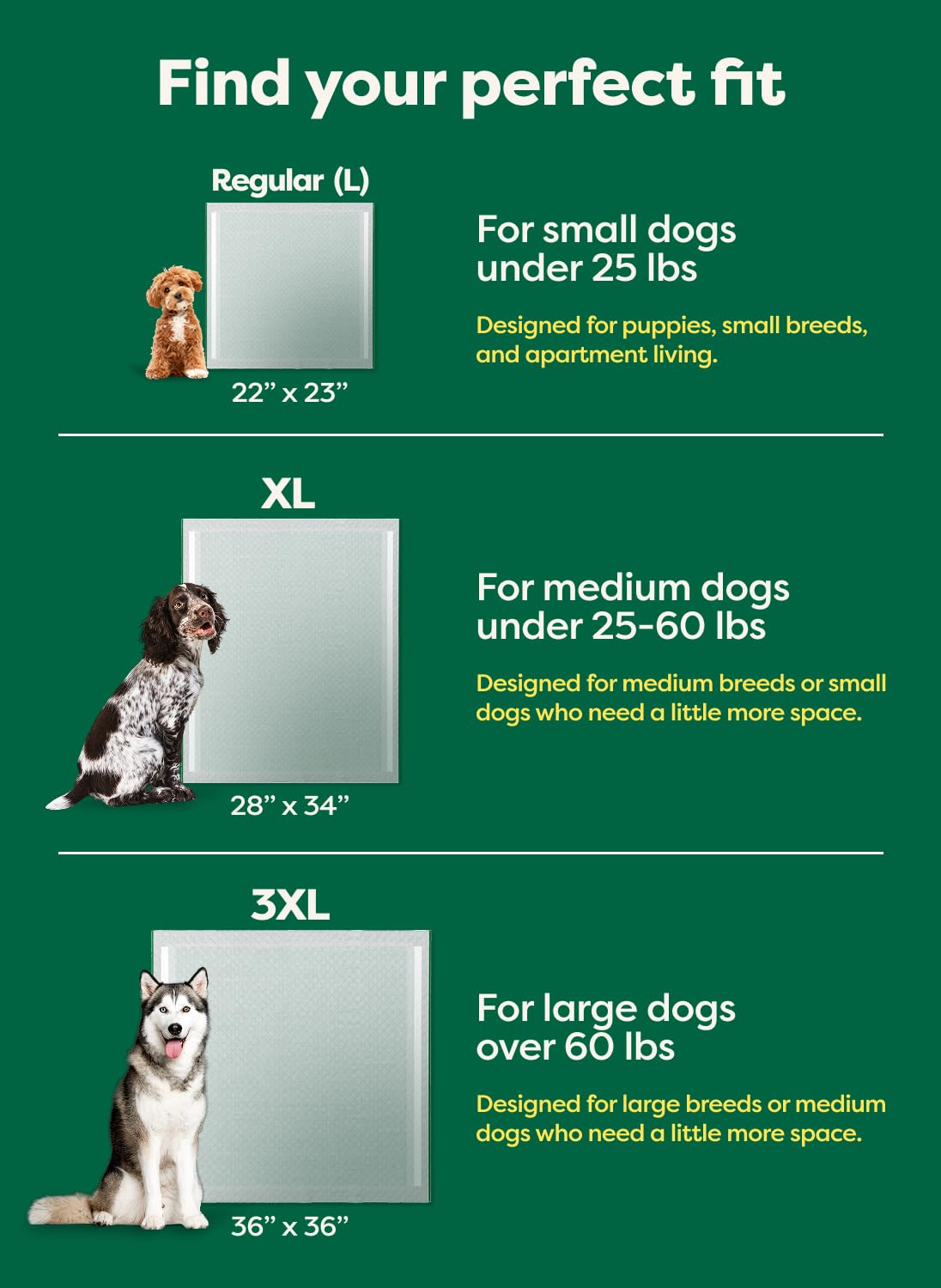 3XL size—36x36 inches—ideal for larger breeds and high-coverage needs.