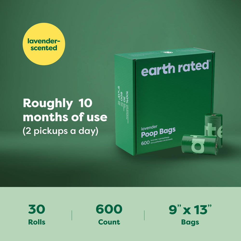 B Corp Certified for responsible product design.