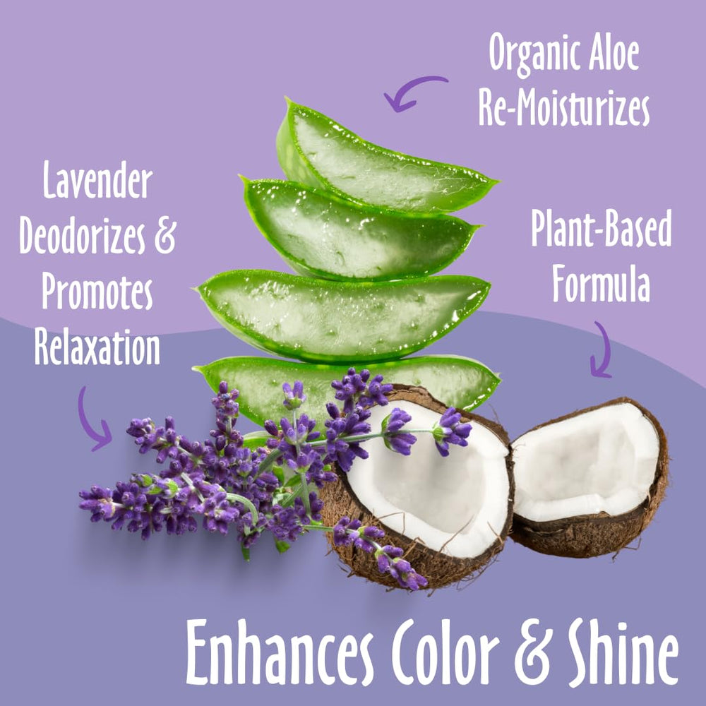 Earthbath Lavender shampoo lather on a dog leaves a soft, fragrant coat.