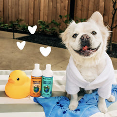 Earthbath Oatmeal and Aloe Conditioner detangles fur while calming itchy skin.