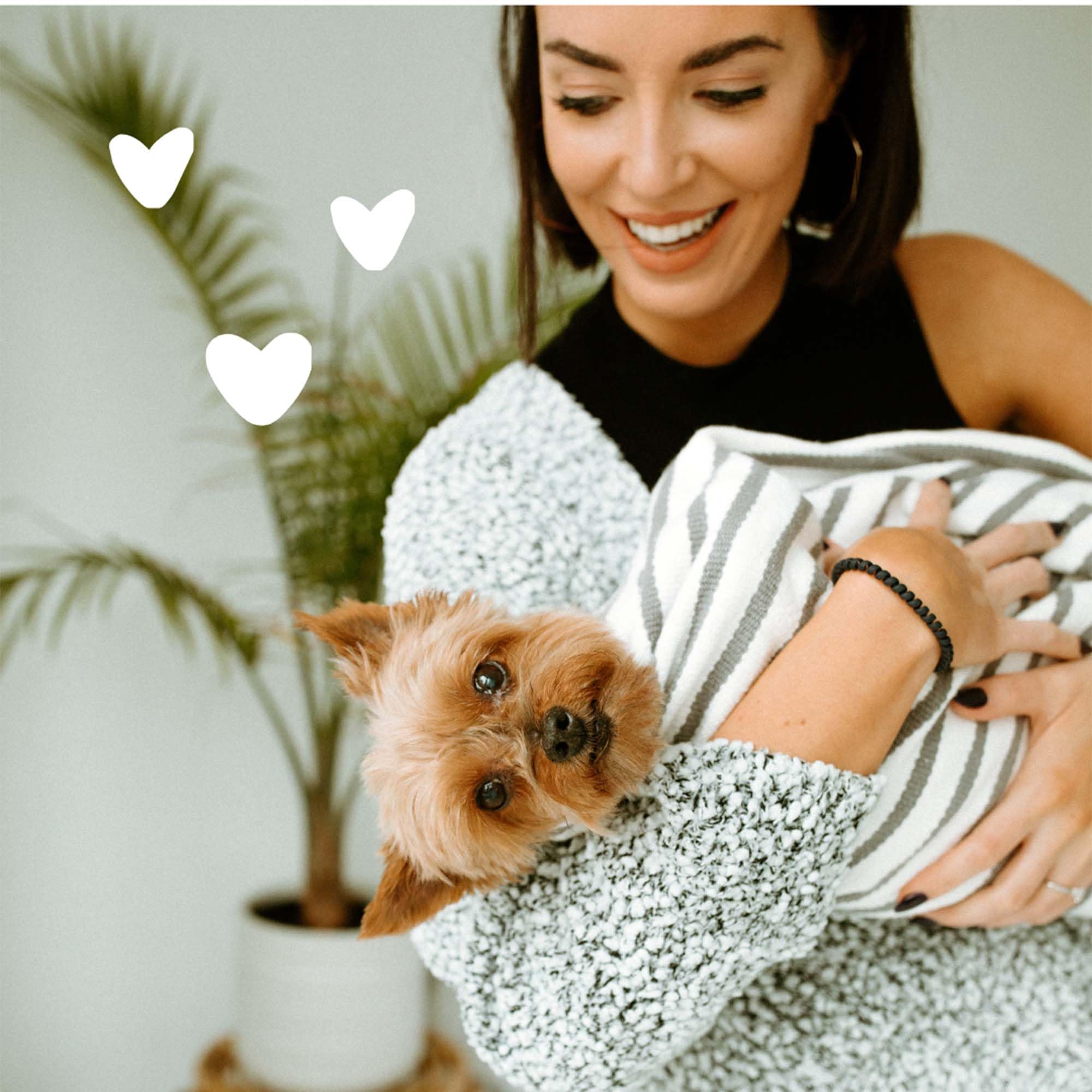 Earthbath plant-based ingredients card highlights avocado and shea for nourishing paws.