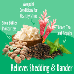 Earthbath Shed Control Conditioner bottle suggests complementary care for balanced cleansing and conditioning.