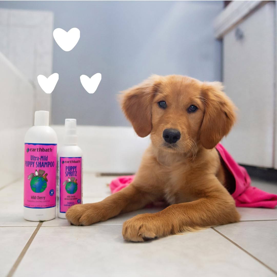 Deodorizing effect of Earthbath Wild Cherry Puppy Shampoo during post-walk grooming
