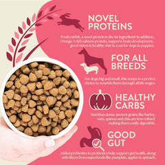 Earthborn Holistic ancient grains blend with barley, oats, quinoa for easy digestion