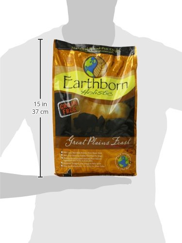 Earthborn Holistic Great Plains Feast bison meal close-up highlighting lean protein