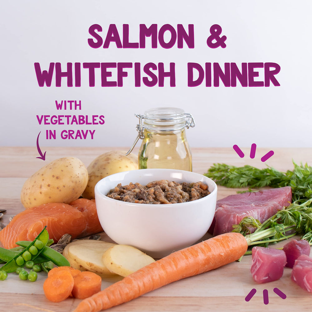 Earthborn Holistic Harbor Harvest serving bowl showing a complete cat dinner
