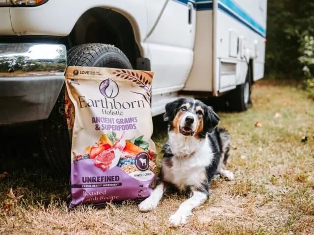 Earthborn Holistic lamb dog food with ancient grains supports easy digestion.