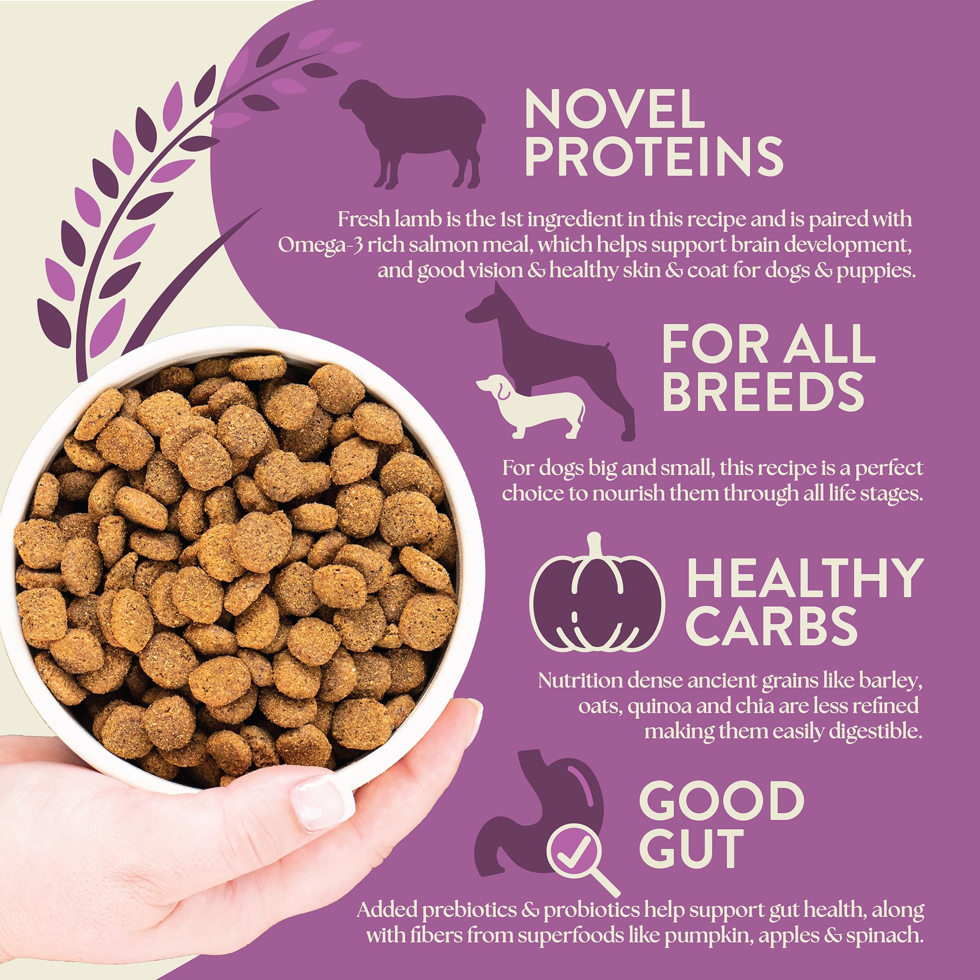 Earthborn Holistic salmon meal adds omega-3 for healthy skin and coat.