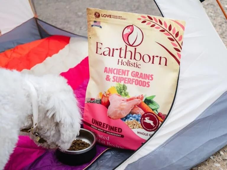 Earthborn Holistic roasted rabbit kibble close-up, showcasing protein-rich bites
