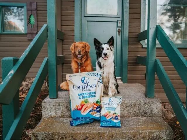 Earthborn Holistic smoked salmon kibble closeup highlighting omega-3 rich bites.