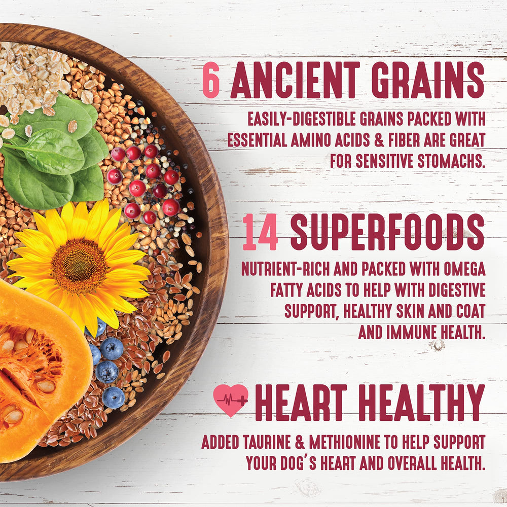 Earthborn Holistic Venture superfoods with berries, spinach, and carrots support coat vitality.