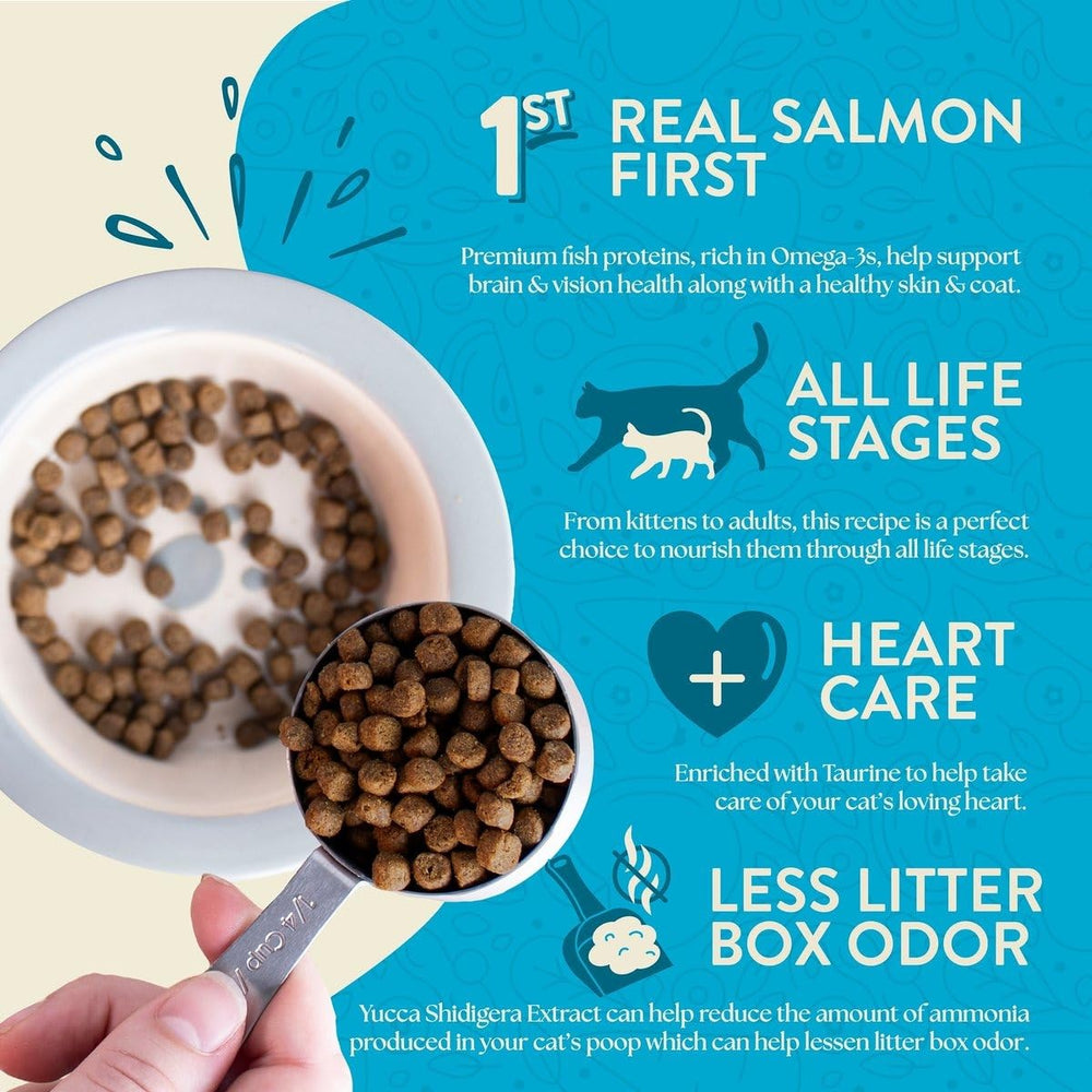 Earthborn Holistic Wild Sea Catch cat-eating captures satisfying carnivore cravings with real salmon first ingredient.