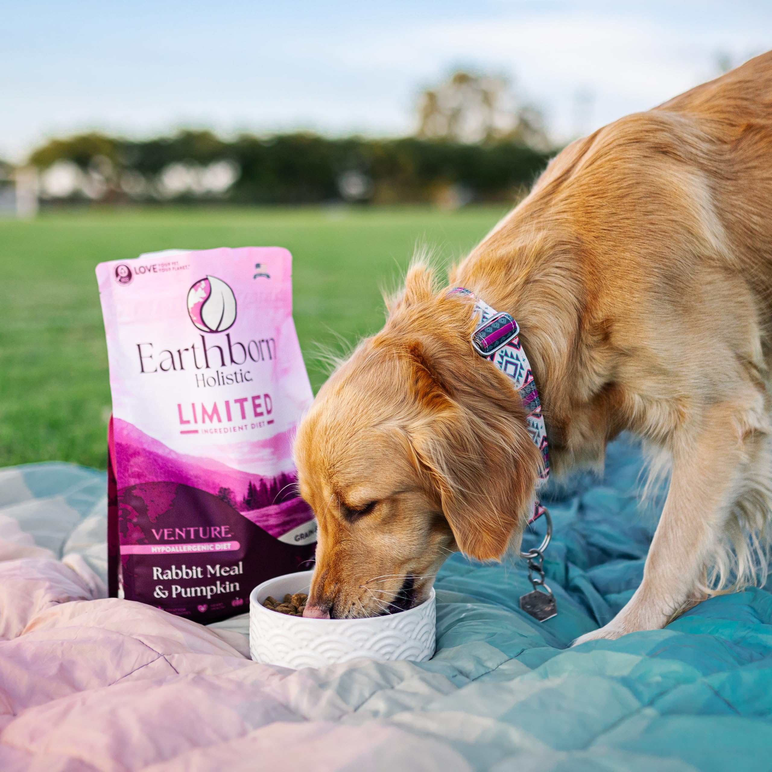 Earthborn Venture dog meal serving image suggests a wholesome daily diet option.