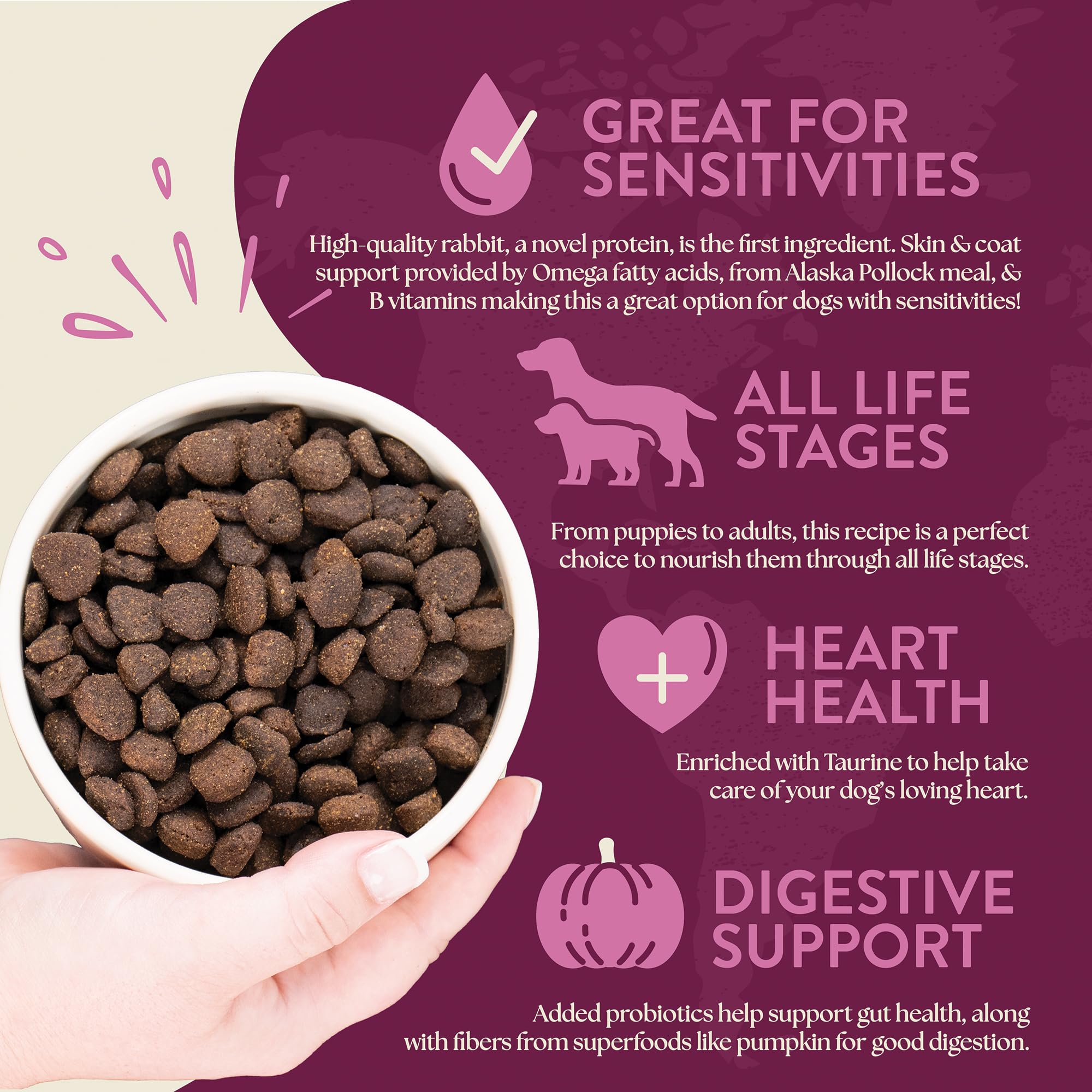 Earthborn Venture rabbit meal kibble in bowl showcases grain-free, easily digested formula.