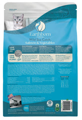 Earthborn Holistic Wild Sea Catch serving bowl with kibble, inviting aroma at mealtime