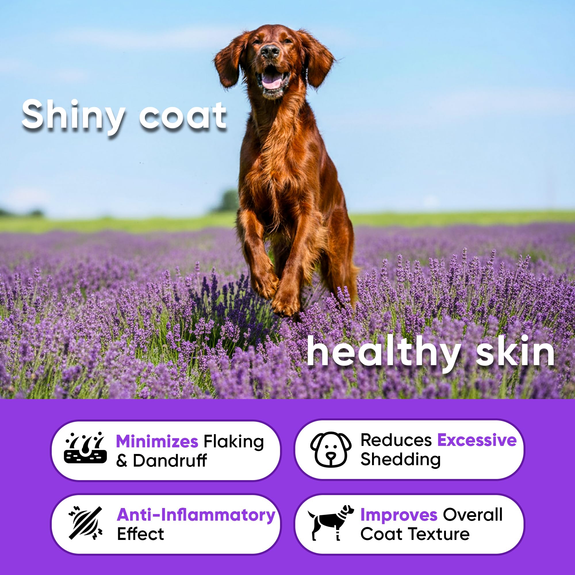 Earthcraft Omega 3 dog chews chicken flavor bone close-up suggests easy daily dosing