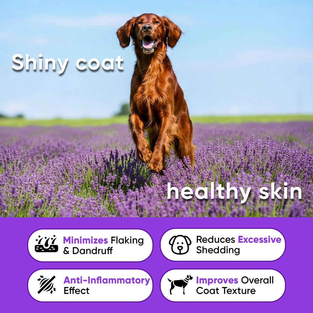 Earthcraft Omega 3 dog chews chicken flavor bone close-up suggests easy daily dosing