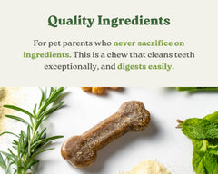 Close-up of Earthly Earthbones texture shows chewy, dog-friendly form.