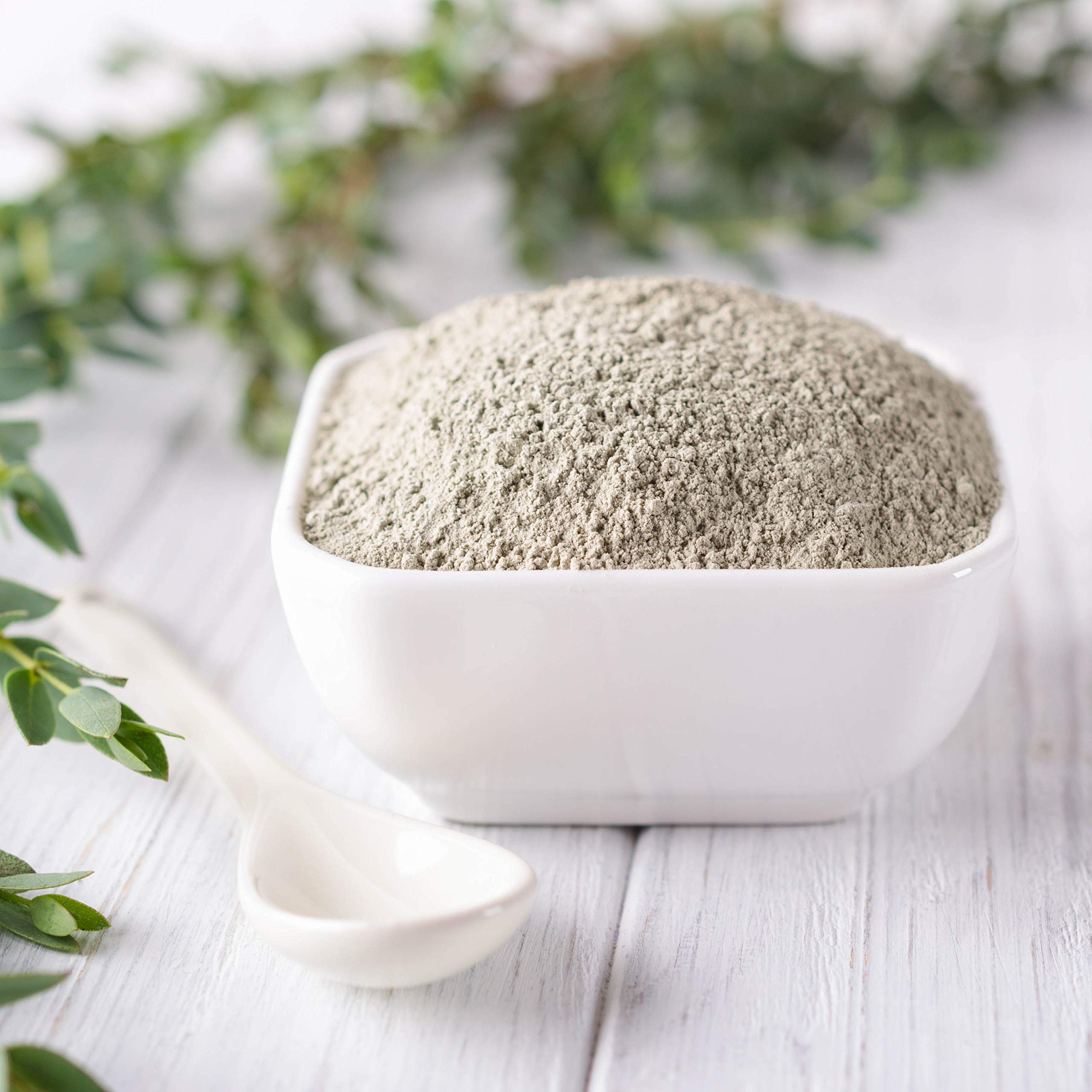 Earth's Living Animin clay for skin or coat care routines.
