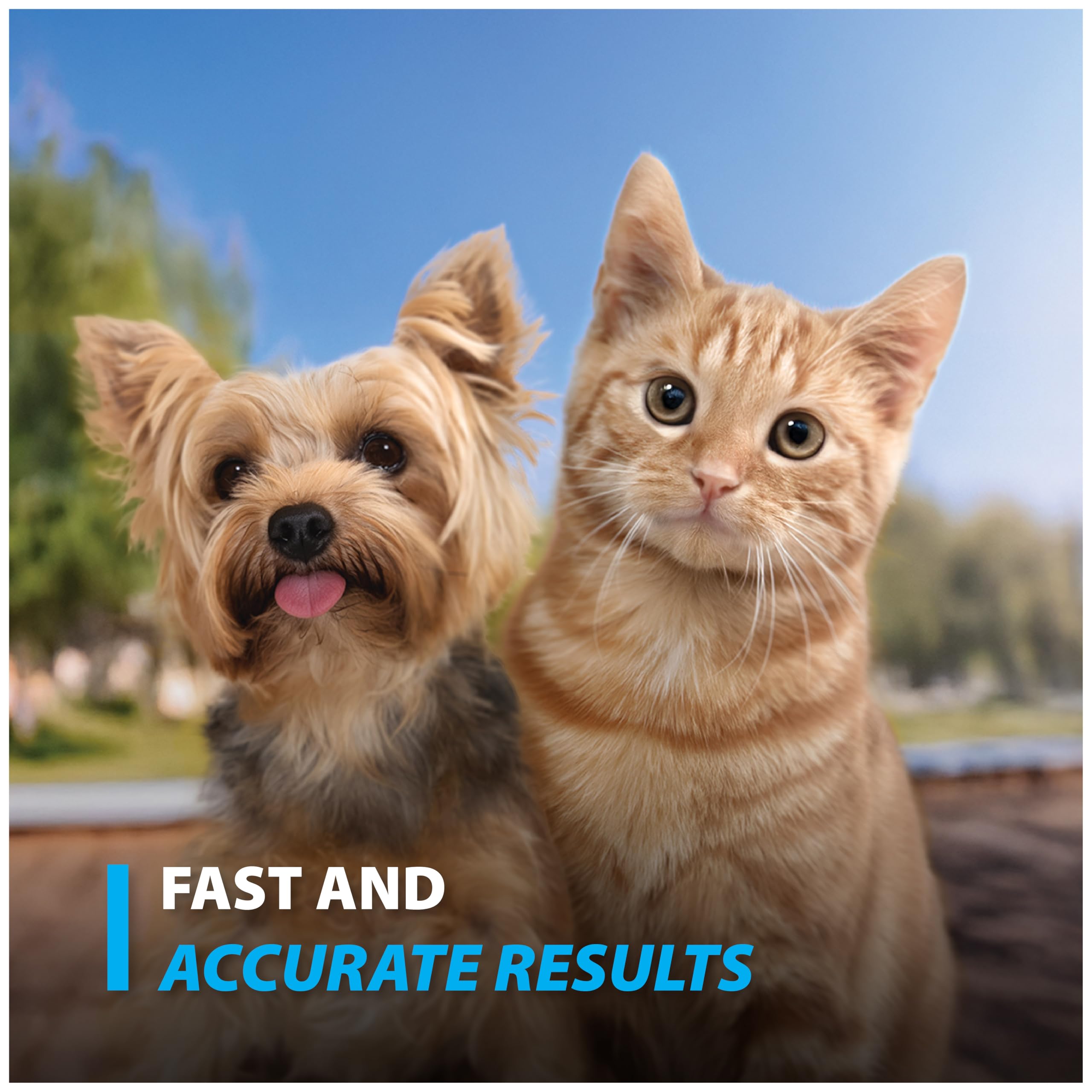 50-count Easy Touch Pet Glucose Test Strips box.