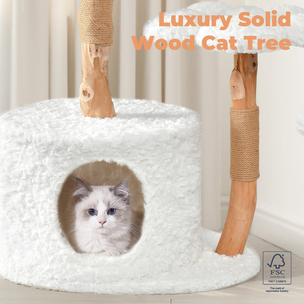 Easyego cat condo with hand-woven basket—cozy hideaway for lounging.