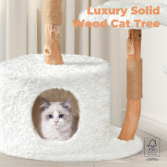 Easyego cat condo with hand-woven basket—cozy hideaway for lounging.