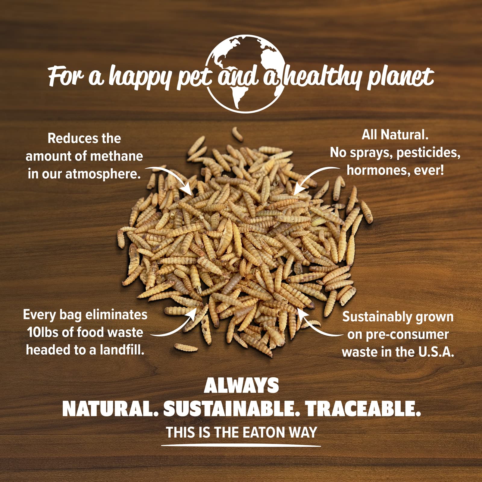 Eaton grubs ducks and wild birds enjoy protein-rich treat