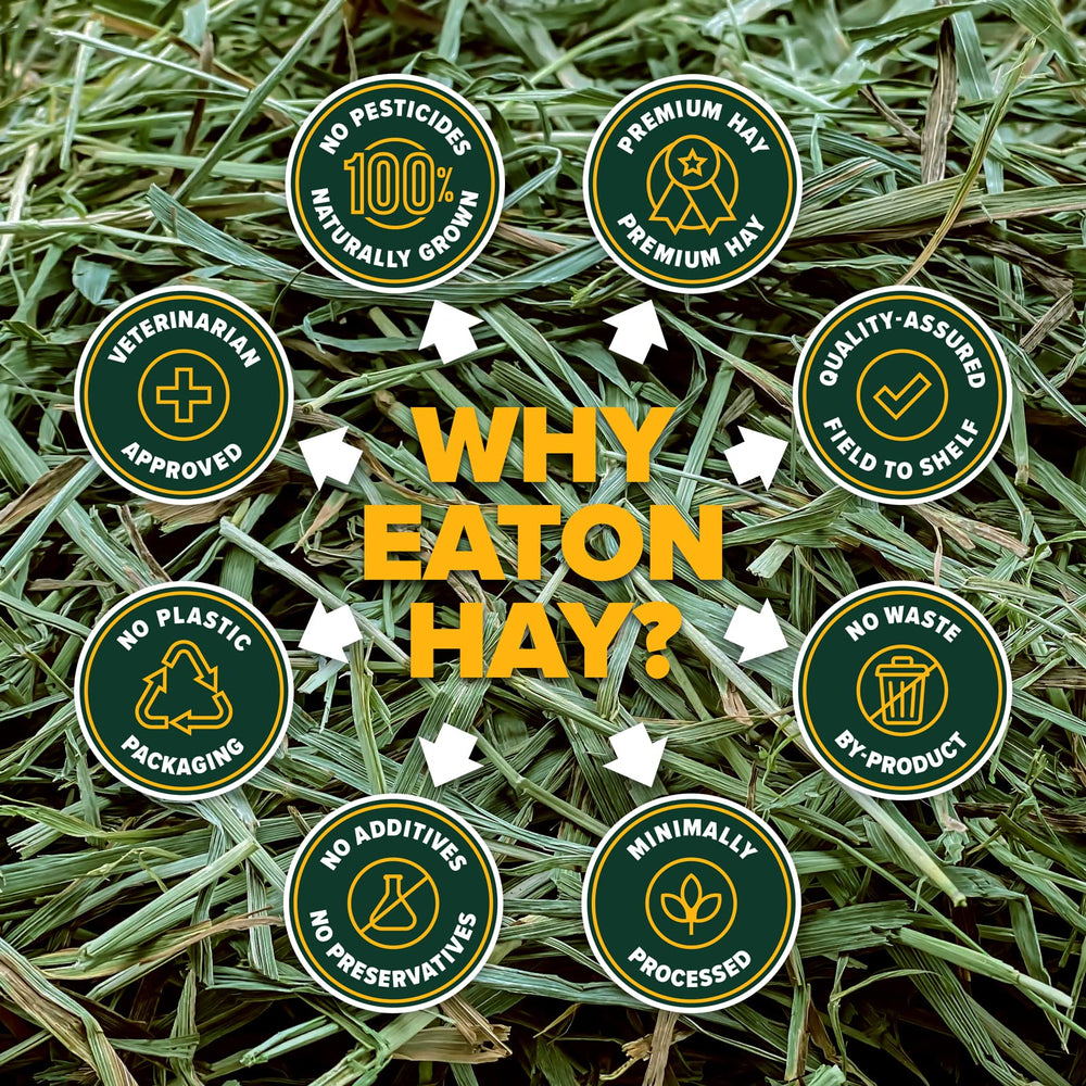 Eaton Pet and Pasture hand-packed box preserves freshness.