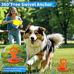 Eazy2hD 360-tangle-free top allowing unrestricted dog movement