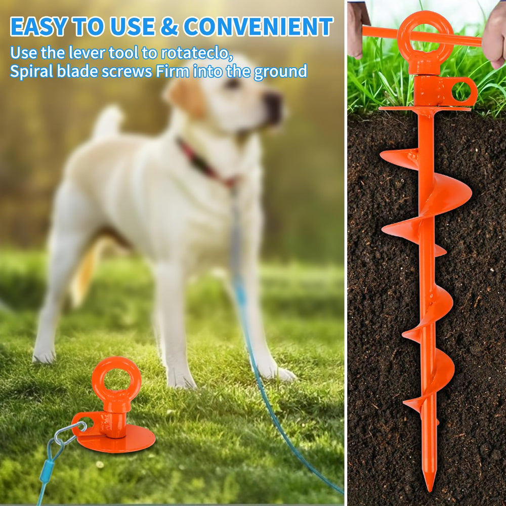Eazy2hD complete kit with bag, brush, carabiner for easy transport